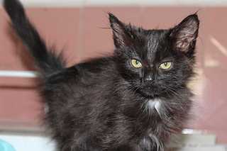 1920 X 1279 116.3 Kb  -  -2 :) ,      !