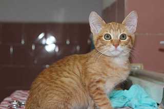 1920 X 1279  82.8 Kb 1920 X 1279  86.9 Kb 1920 X 1279  59.7 Kb 1920 X 1279 116.3 Kb  -  -2 :) ,      !