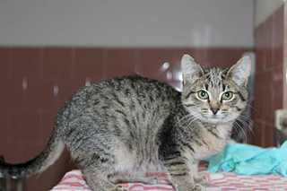 1920 X 1279  93.3 Kb  -  -2 :) ,      !