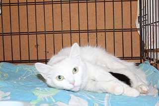 1920 X 1279 155.5 Kb  -  -2 :) ,      !