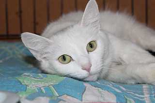 1920 X 1279 106.2 Kb 1920 X 1279 155.5 Kb  -  -2 :) ,      !