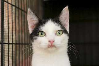 1920 X 1279 104.6 Kb  -  -2 :) ,      !