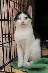 1920 X 2880 244.9 Kb 1920 X 1279 104.6 Kb  -  -2 :) ,      !