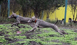 1920 X 1128 816.1 Kb   