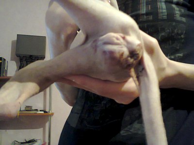 1280 X 960 130.6 Kb , !