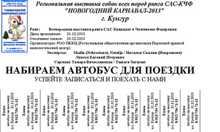 1110 X 665 420.1 Kb 21.12.2013 г. Кунгур 'Новогодний Карнавал-2013' + 2 моно