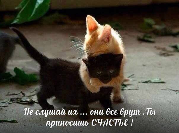 604 x 451 425 x 237 Улыбнемся?