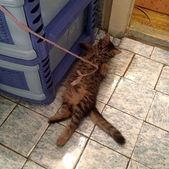 959 X 959 241.2 Kb 720 X 960 165.9 Kb 720 X 960 184.8 Kb -   !