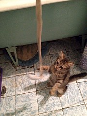 720 X 960 176.3 Kb 959 X 959 241.2 Kb 720 X 960 165.9 Kb 720 X 960 184.8 Kb -   !