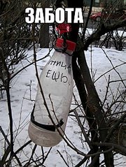 453 X 604  74.2 Kb Улыбнемся?
