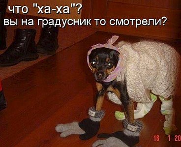 450 X 366 38.1 Kb 480 X 348 20.4 Kb 472 X 640 65.8 Kb Улыбнемся?