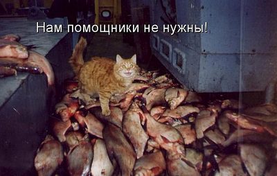 700 X 445  52.8 Kb 604 X 453  83.2 Kb Улыбнемся?