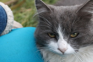 1920 X 1280 424.7 Kb 1920 X 1280 485.9 Kb  