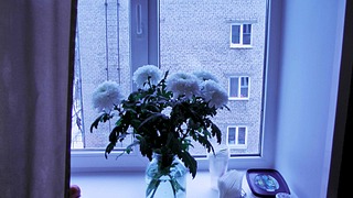1920 X 1080 460.2 Kb 1920 X 3413 516.4 Kb 1920 X 1080 450.1 Kb 1920 X 1080 506.4 Kb 2х.ком., 4/5к., центр., Сивкова 156, свежий дизайнерский ремонт.