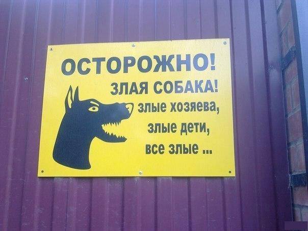 604 x 453 Улыбнемся?