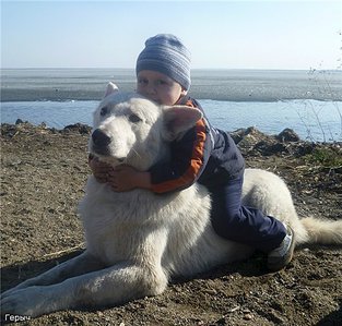 540 X 516 67.2 Kb 540 X 405 46.3 Kb 600 X 400 136.8 Kb    