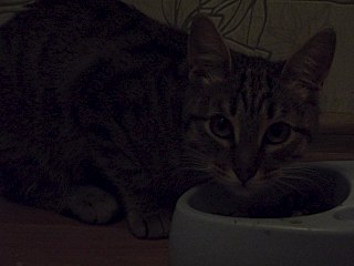 1280 X 960 117.9 Kb ����� � ������ ����