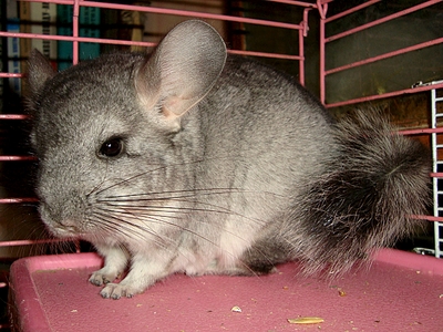 1320 X 990 163.9 Kb     ' '