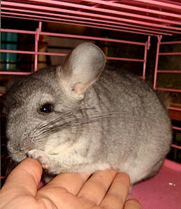 1179 X 1361 123.8 Kb 1329 X 1171 164.5 Kb 1386 X 1386 205.0 Kb 1320 X 990 163.9 Kb     ' '