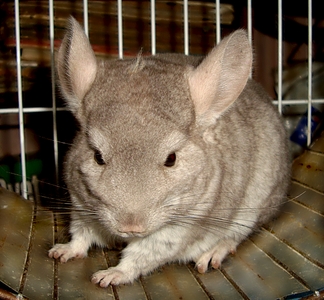 1246 X 1152 976.5 Kb     ' '