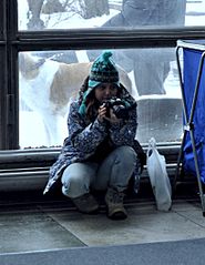 815 X 1053 113.5 Kb 1920 X 1285 279.1 Kb 1920 X 1285 289.1 Kb 1 декабря Выставка ранга КЧФ + МОНО