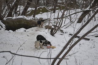 1920 X 1280 566.7 Kb 1920 X 1280 412.0 Kb     