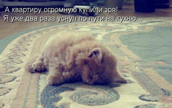 604 x 379 Улыбнемся?