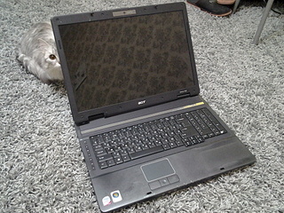 1920 X 1440 991.2 Kb      ()