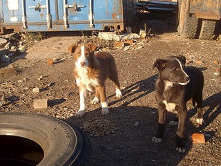 1920 X 1440 934.1 Kb ,   ...    !