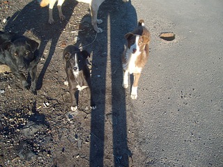 1920 X 1440 484.8 Kb 1920 X 1440 934.1 Kb ,   ...    !