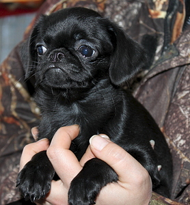 1920 X 2070 300.5 Kb 1920 X 1915 283.4 Kb  .