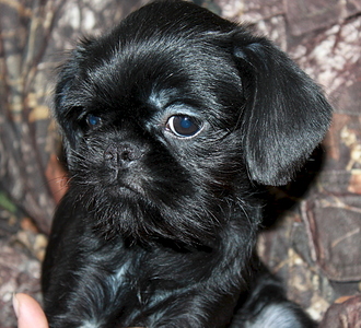 1920 X 1742 329.0 Kb  .