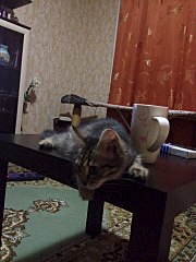 720 X 960 177.6 Kb 720 X 960 181.9 Kb -   !