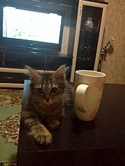 720 X 960 159.3 Kb 720 X 960 177.6 Kb 720 X 960 181.9 Kb -   !