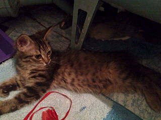 960 X 720 158.1 Kb 720 X 960 159.3 Kb 720 X 960 177.6 Kb 720 X 960 181.9 Kb -   !