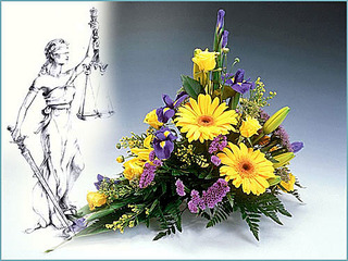 500 X 375  56.0 Kb   !