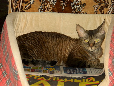 1920 X 1440 682.8 Kb - 