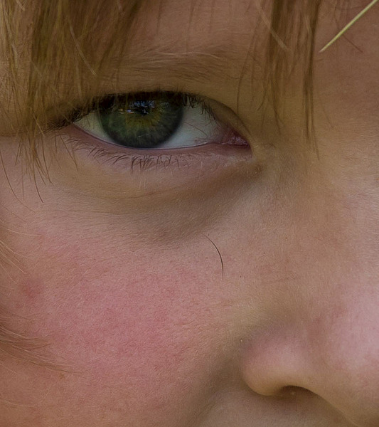 800 X 900 110.6 Kb 800 X 1200 219.4 Kb 800 X 900 156.0 Kb 1200 X 800 278.7 Kb  Tamron 70-200 2.8 Canon (   Canon 50 1.4)