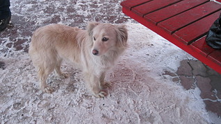 318 x 179 1920 X 1079 611.5 Kb SOS!   !