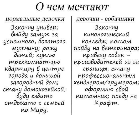 587 x 480 Улыбнемся?