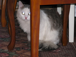 1920 X 1440 659.7 Kb 1920 X 1440 750.7 Kb     ,  