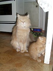 768 X 1024 117.4 Kb 1280 X 960 139.1 Kb 1280 X 960 150.4 Kb 1280 X 960 146.1 Kb      !