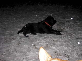 1920 X 1440 501.7 Kb 1920 X 1440 637.1 Kb   -2