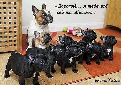 640 X 452  49.9 Kb Улыбнемся?