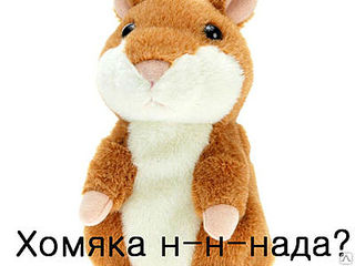 400 X 300  20.2 Kb   -!