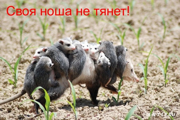 700 x 468 Улыбнемся?