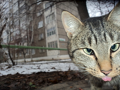 1920 X 1440 229.3 Kb 1920 X 1440 527.1 Kb  