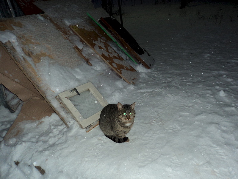 1920 X 1440 491.0 Kb  