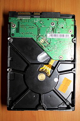 1920 X 2880 417.1 Kb 1920 X 2880 386.9 Kb  