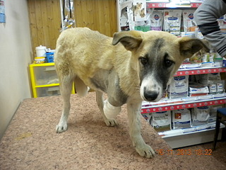 320 x 240 320 x 240     .  